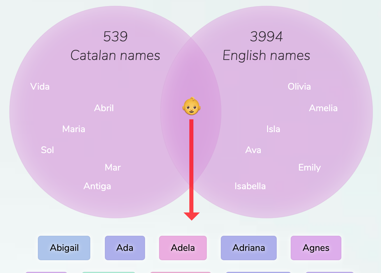 Last Name Catalan