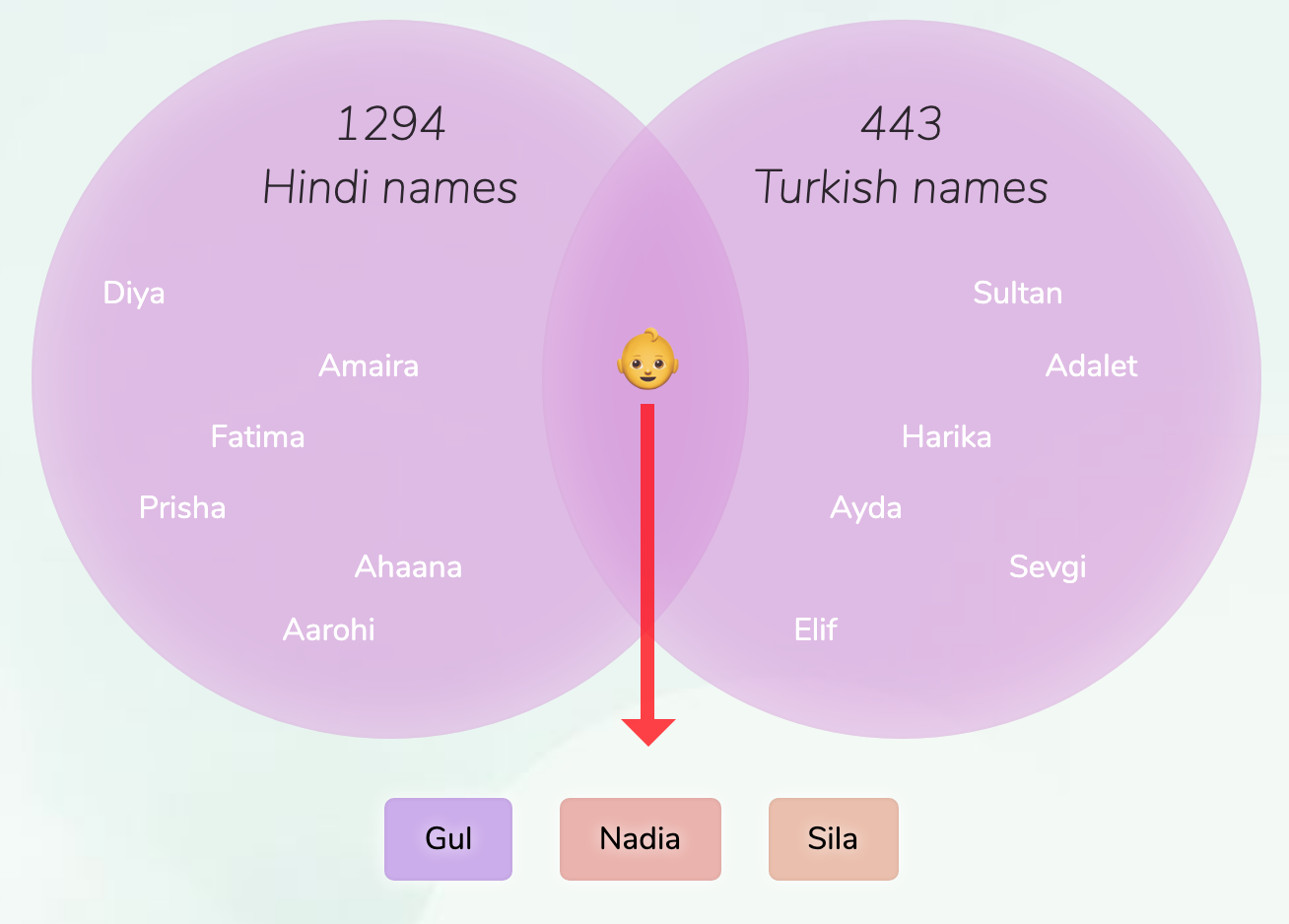 hindi-turkish-names-for-girls